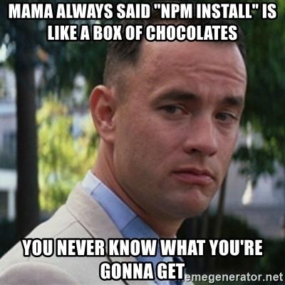 npm-install.jpeg